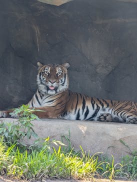 日立市かみね動物園に投稿された画像（2024/7/26）