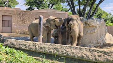 日立市かみね動物園に投稿された画像（2024/7/26）
