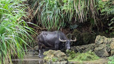 ビオスの丘に投稿された画像（2024/7/26）