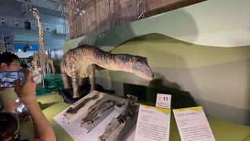 巨大恐竜展2024に投稿された画像（2024/7/26）