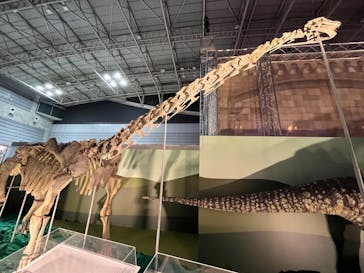 巨大恐竜展2024に投稿された画像（2024/7/26）