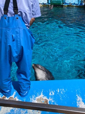 名古屋港水族館に投稿された画像（2024/7/26）