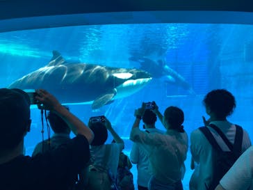名古屋港水族館に投稿された画像（2024/7/26）