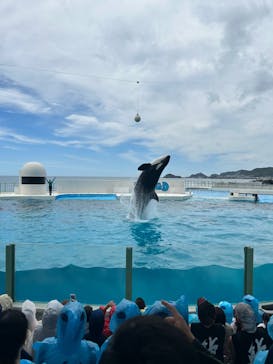 鴨川シーワールドに投稿された画像（2024/7/26）