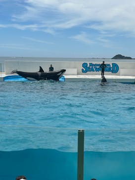 鴨川シーワールドに投稿された画像（2024/7/26）