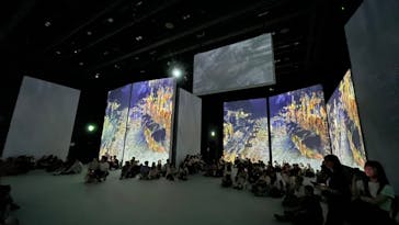 モネ＆フレンズ・アライブに投稿された画像（2024/7/26）