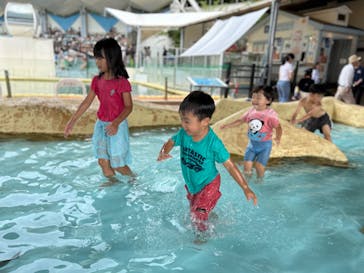 伊豆・三津シーパラダイスに投稿された画像（2024/7/26）