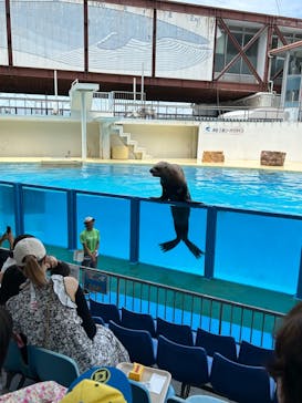 伊豆・三津シーパラダイスに投稿された画像（2024/7/26）