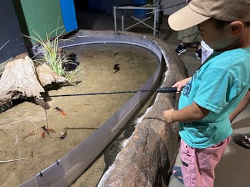 伊豆・三津シーパラダイスに投稿された画像（2024/7/26）