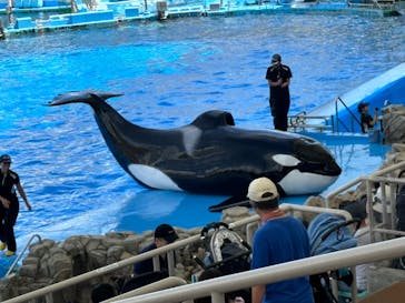 名古屋港水族館に投稿された画像（2024/7/26）