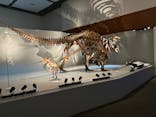 DinoScience 恐竜科学博 ～ララミディア大陸の恐竜物語～ 2024@OSAKAに投稿された画像（2024/7/26）