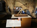 巨大恐竜展2024に投稿された画像（2024/7/26）