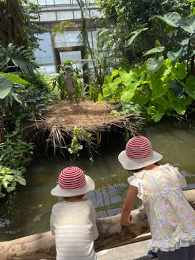 神戸どうぶつ王国に投稿された画像（2024/7/26）