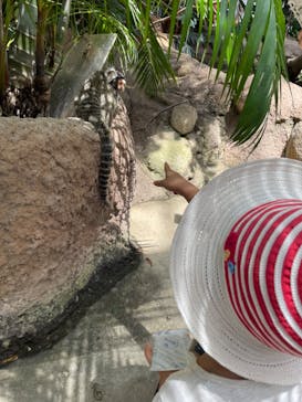 神戸どうぶつ王国に投稿された画像（2024/7/26）