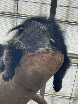 神戸どうぶつ王国に投稿された画像（2024/7/26）