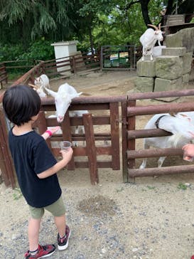 那須高原りんどう湖ファミリー牧場に投稿された画像（2024/7/26）