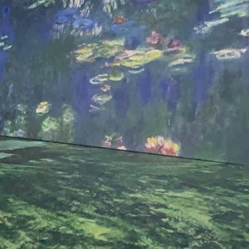 モネ＆フレンズ・アライブに投稿された画像（2024/7/26）