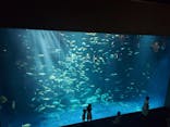四国水族館に投稿された画像（2024/7/26）