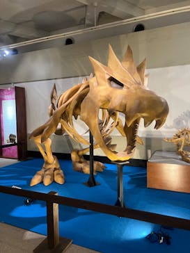 岐阜県博物館に投稿された画像（2024/7/26）