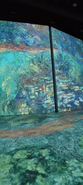 モネ＆フレンズ・アライブに投稿された画像（2024/7/26）