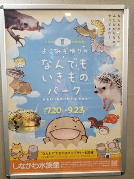 しながわ水族館に投稿された画像（2024/7/26）