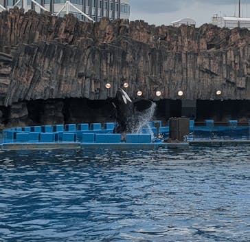名古屋港水族館に投稿された画像（2024/7/26）