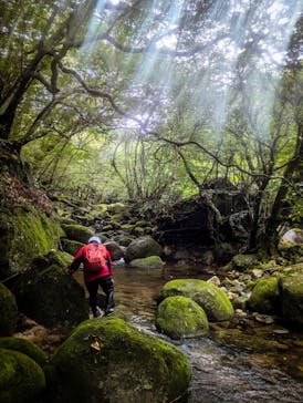 アウトドア屋久島ガイドシステムに投稿された画像（2024/7/26）