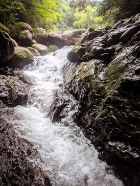 アウトドア屋久島ガイドシステムに投稿された画像（2024/7/26）