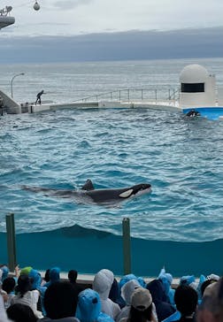 鴨川シーワールドに投稿された画像（2024/7/26）