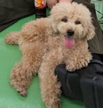 つくばわんわんランドに投稿された画像（2024/7/26）