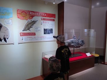 岐阜県博物館に投稿された画像（2024/7/26）