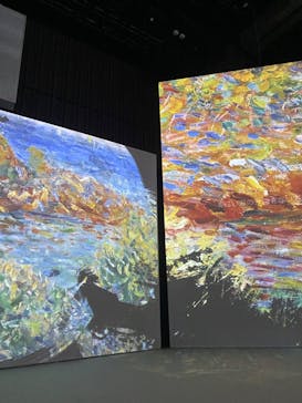 モネ＆フレンズ・アライブに投稿された画像（2024/7/26）