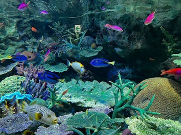 サンシャイン水族館に投稿された画像（2024/7/26）