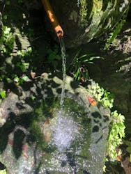 長瀞 古沢園に投稿された画像（2024/7/26）