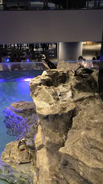 すみだ水族館に投稿された画像（2024/7/26）