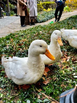 ロックハート城に投稿された画像（2024/7/26）