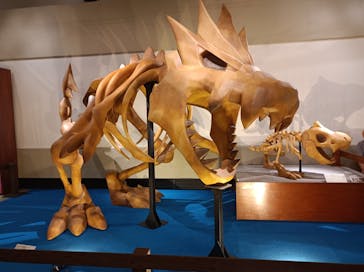 岐阜県博物館に投稿された画像（2024/7/26）