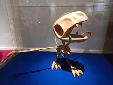 岐阜県博物館に投稿された画像（2024/7/26）