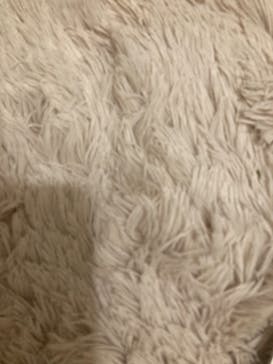 アソビュー！ポイントに投稿された画像（2024/7/26）