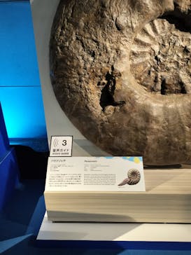 巨大恐竜展2024に投稿された画像（2024/7/26）