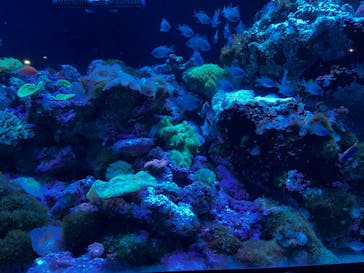 マクセル アクアパーク品川に投稿された画像（2024/7/26）