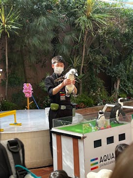 マクセル アクアパーク品川に投稿された画像（2024/7/26）