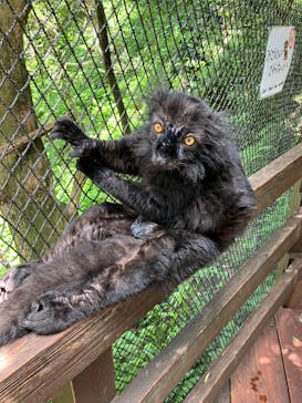 長崎バイオパークに投稿された画像（2024/7/26）