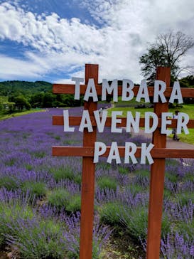 たんばらラベンダーパークに投稿された画像（2024/7/26）