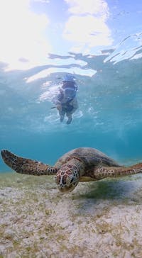 宮古島マリン GB QUESTに投稿された画像（2024/7/26）