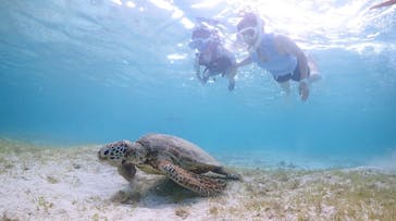 宮古島マリン GB QUESTに投稿された画像（2024/7/26）