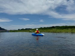 ストームフィールドガイドに投稿された画像（2024/7/26）