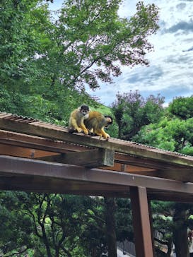 伊豆シャボテン動物公園に投稿された画像（2024/7/27）