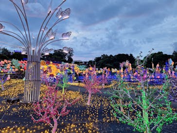 伊豆ぐらんぱる公園に投稿された画像（2024/7/27）