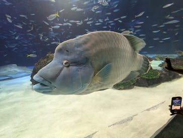 サンシャイン水族館に投稿された画像（2024/7/27）